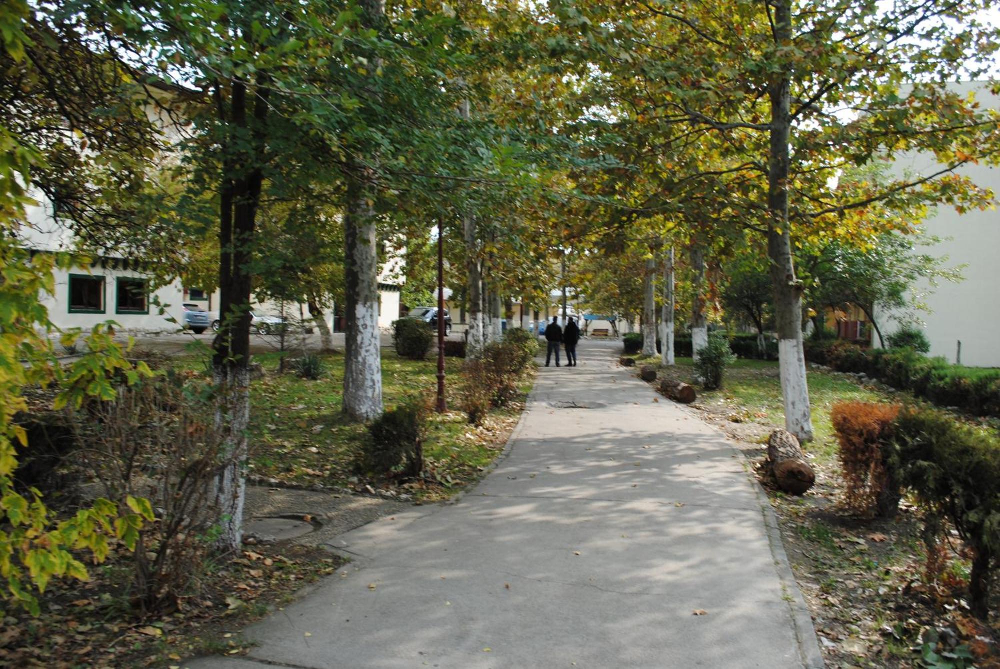 Complex Mediteranean Mamaia Ngoại thất bức ảnh